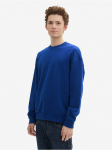 TOM TAILOR DENIM - Meeste džemper