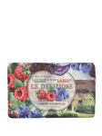 NESTI DANTE - LE DELIZIOSE FRUITS OF THE FOREST seep, 150 g
