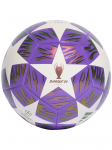 ADIDAS PERFORMANCE - Unisex jalgpall, adidas UEFA Meistrite Liiga finaali treeningpall JX9089
