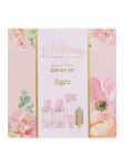 ACCENTRA - Jasmiini/piparm&uuml;ndi l&otilde;hnaga du&scaron;igeel/ kehakreem (2x100 ml), k&auml;si-/k&uuml;&uuml;sekreem (60 ml) ja k&uuml;&uuml;nehari.