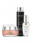 SYMBIOSIS - Puhastav Micellar Water (200 ml), Balancing Cryogenic Facial Scrub (50 ml), Daily Protective Serum (30 ml).