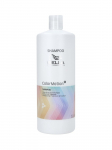 WELLA PROFESSIONALS - &Scaron;ampoon v&auml;rvitud juustele COLOR MOTION+, 1 L