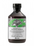 DAVINES - Taastav juukseshampoon RENEWING SHAMPOO, 250 ml