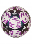 ADIDAS PERFORMANCE - Unisex jalgpall, adidas UEFA Meistrite Liiga finaali klubipall JX9093