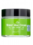JIGOTT - Rahustav kreem aloe vera ekstraktiga ALOE WATER BLUE CREAM, 70 ml