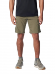 COLUMBIA - Meeste l&uuml;hikesed p&uuml;ksid, Columbia Silver Ridge Utility Cargo Shorts 2030744397