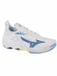 MIZUNO - Unisex-jalatsid, Mizuno Wave Momentum 3 V1GA231297