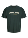 JACK&JONES - L&uuml;hikeste varrukatega meeste T-s&auml;rk, JJABBO TEE SS CREW NECK