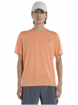 NEW BALANCE - L&uuml;hikeste varrukatega meeste T-s&auml;rk, ATHLETICS T-SHIRT AAE MT41253AAE