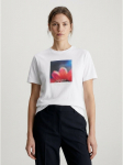 CALVIN KLEIN JEANS - Naiste l&uuml;hikeste varrukatega s&auml;rk