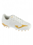 JOMA - Laste jalgpallijalatsid, Joma Evolution Jr 2602 AG EVJS2602AG