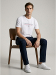 TOMMY HILFIGER - Meeste l&uuml;hikeste varrukatega T-s&auml;rk, BRAND LOVE NEW RWB REG TEE