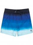 BILLABONG - Meeste ujumisp&uuml;ksid, Billabong All Day Fade 16" Shorts EBYJV00121-CBU