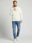 TOMMY JEANS - Meeste kapuutsiga dressipluus, TJM REG LINEAR LOGO HOODIE EXT