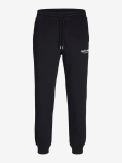 JACK&JONES - Meeste spordip&uuml;ksid, VESTERBRO