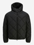 JACK&JONES - Meeste demi-hooaja jakk, DYNAMIC