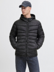 JACK&JONES - Meeste demi-hooaja jakk, JJWEST