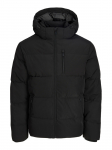 JACK&JONES - Talvine meeste jope, BECKS