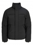 JACK&JONES - Talvine meeste jope, JJESOHO PUFFER COLLAR AW26 SN