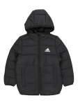 ADIDAS - Talvine laste jope, JK SYNTHETIC JK