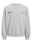 JACK&JONES - Meeste kampsun, JCOCLUB