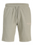 JACK&JONES - Meeste l&uuml;hikesed p&uuml;ksid, GORDON