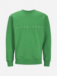 Jack&Jones - Meeste džemper, JWHCOPENHAGEN BIG SWEAT CREW NECK