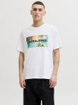 JACK&JONES - Meeste l&uuml;hikeste varrukatega s&auml;rk, JJINDIANA