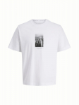 JACK&JONES - Meeste l&uuml;hikeste varrukatega s&auml;rk, FUSION