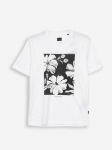 JACK&JONES - Meeste l&uuml;hikeste varrukatega s&auml;rk, LUCAS