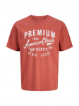 JACK&JONES - Meeste l&uuml;hikeste varrukatega s&auml;rk, BLUALEX