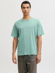 JACK&JONES - Meeste l&uuml;hikeste varrukatega s&auml;rk, STAR