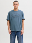 JACK&JONES - Meeste l&uuml;hikeste varrukatega s&auml;rk, DENVER