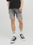 JACK&JONES - Meeste teksap&uuml;ksid, RICK