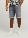 JACK&JONES - Meeste teksap&uuml;ksid, RICK
