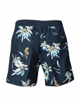 QUIKSILVER - Meeste ujumisp&uuml;ksid, Quiksilver Everyday Half Jam 16" Shorts EQYBS04897-KTP6