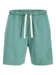 JACK&JONES - Meeste l&uuml;hikesed p&uuml;ksid, BILL