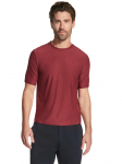 SKECHERS - Meeste s&auml;rk, Skechers Go Dri All Day Tee TS107-CCRD