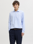 JACK&JONES - Meeste klassikaline s&auml;rk, LAPARKER