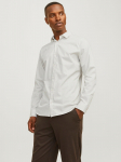 JACK&JONES - Meeste klassikaline s&auml;rk, JOE