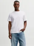 JACK&JONES - Meeste l&uuml;hikeste varrukatega s&auml;rk, JJEORGANIC