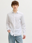 JACK&JONES - Meeste klassikaline linasest riidest s&auml;rk, SUVI