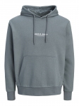 JACK&JONES - Meeste kapuutsiga kampsun, JWHVESTERBRO