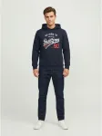 JACK&JONES - Meeste kapuutsiga kampsun, ETHAN