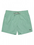 BILLABONG - Meeste ujumisp&uuml;ksid, Billabong All Day Layback 16" Shorts EBYJV00134-GGV0