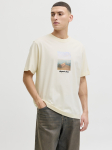 JACK&JONES - Meeste l&uuml;hikeste varrukatega s&auml;rk, REBRO