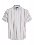 JACK&JONES - Meeste l&uuml;hikeste varrukatega s&auml;rk, milles on kasutatud lina, JOSHUA