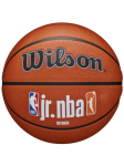 WILSON - Unisex korvpall, Wilson Jr NBA Fam Logo Authentic Outdoor Ball WZ3011801XB