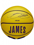 WILSON - Unisex korvpall, Wilson NBA Player Icon LeBron James Mini Ball WZ4027701XB