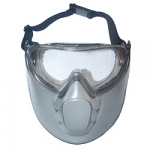 Plastic visor with glasses